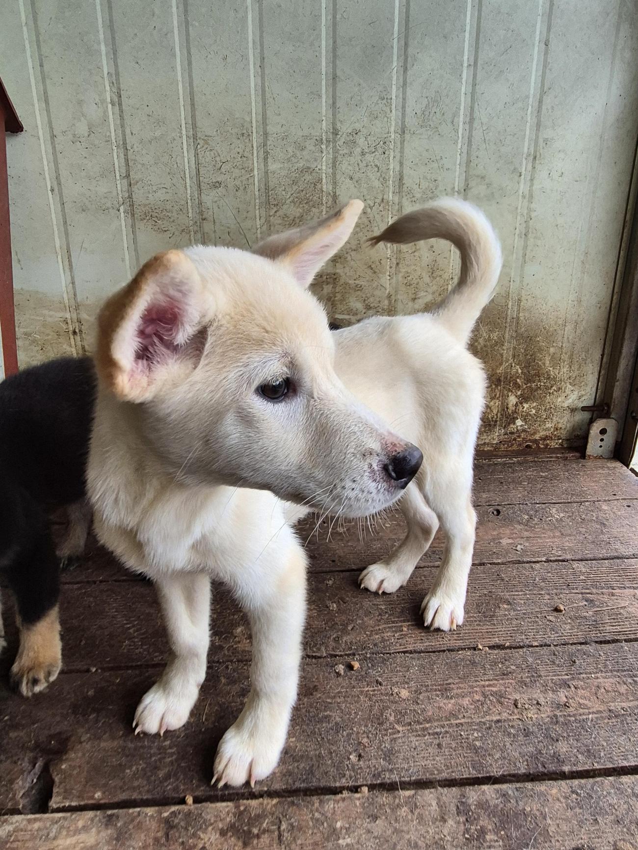 종료(자연사) 믹스…